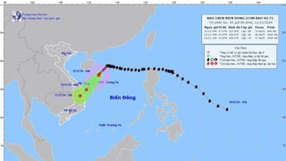 Thời tiết ngày 11/11: Bão số 7 giảm cường độ, giật cấp 11