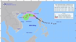 Bão số 8 giật cấp 11 di chuyển theo hướng Tây Tây Bắc