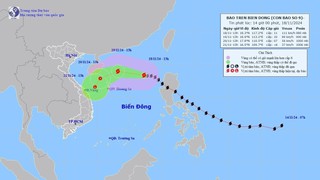 Ứng phó bão số 9: Quảng Ninh đến Bình Thuận theo dõi chặt chẽ diễn biến bão