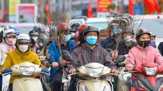 Dịp Tết Nguyên đán Giáp Thìn 2024: Vùng núi Bắc Bộ có khả năng rét đậm, rét hại