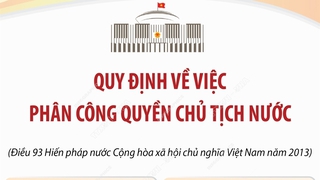 Quy định về việc phân công quyền Chủ tịch nước