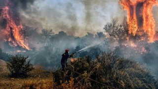 Hy Lạp bắt giữ nhiều người đốt pháo hoa gây cháy rừng