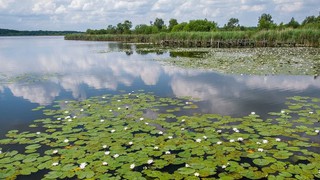 UNESCO công nhận Khu dự trữ sinh quyển đầu tiên tại Bỉ