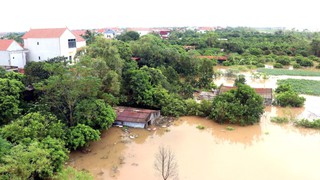 Nhìn lại những cơn bão mạnh đổ bộ vào Việt Nam những năm gần đây