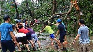 Khắc phục hậu quả bão số 3: Người dân đoàn kết sớm trở lại nhịp sống thường ngày