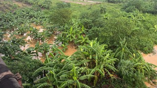 Cảnh báo sắp có mưa lớn ở nội thành Hà Nội, lũ khẩn cấp trên sông Thao