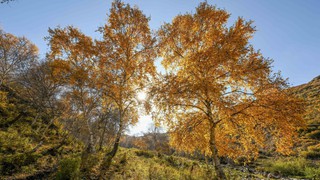 Chiêm ngưỡng cảnh đẹp mùa thu trên thế giới