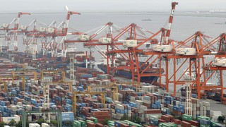 Kinh tế tư nhân trụ cột kiến tạo động lực tăng trưởng mới - Bài 4: Mô hình tham chiếu cho Việt Nam