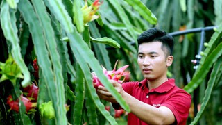 Họp báo Đại hội Đảng bộ Chính phủ: Quyết tâm đạt tăng trưởng hai con số trong nhiệm kỳ 2026–2030