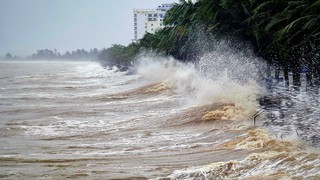 Ảnh hưởng của bão FENGSHEN, phía Đông khu vực Bắc Biển Đông có gió mạnh, sóng cao