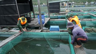 Đà Nẵng: Chủ tịch UBND xã, phường chủ động quyết định cho học sinh nghỉ học để ứng phó với bão số 12