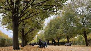 Quyến rũ sắc Thu London