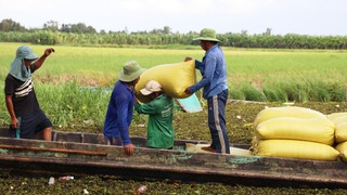 Hội nghị Cấp cao ASEAN 47: Việt Nam góp phần thúc đẩy kinh tế số và an ninh lương thực ASEAN