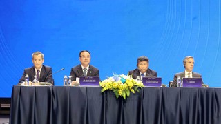 Công ước Hà Nội: Phiên thảo luận toàn thể thứ hai