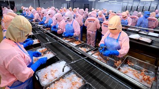 Góp ý dự thảo văn kiện Đại hội XIV của Đảng: “Đồng thuận” giữa GDP và HDI