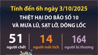 Thiệt hại do bão số 10 và mưa lũ, sạt lở, dông lốc