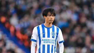 Nhận định, soi tỷ lệ Wolves vs Brighton 20h hôm nay ngày 5/10, Ngoại hạng Anh