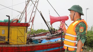 Quảng Ninh, Phú Thọ, Ninh Bình gấp rút thực hiện biện pháp ứng phó bão số 11