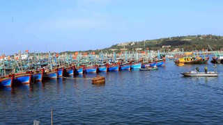 Hải Phòng kích hoạt phương án ứng phó mưa lũ, sạt lở do bão