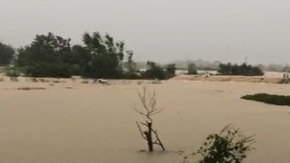 Lũ lớn trên sông Cầu, sông Thương, các địa phương khẩn cấp ứng phó