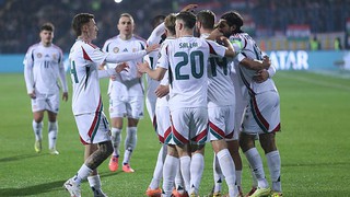 Nhận định, soi tỷ lệ Hungary vs Ireland 21h hôm nay ngày 16/11, VL World Cup 2026 khu vực châu Âu