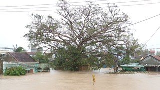 Mưa lũ miền Trung - Tây Nguyên: 68 người chết và mất tích với thiệt hại hơn 8.980 tỷ đồng