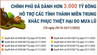 Đã dành hơn 3.000 tỷ đồng hỗ trợ các tỉnh thành miền Trung khắc phục thiệt hại do mưa lũ