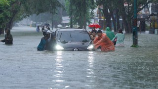 Hơn 800 người thiệt mạng do bão lũ ở Nam Á
