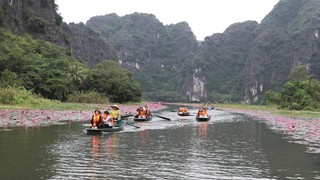 Mùa hoa súng nơi miền di sản