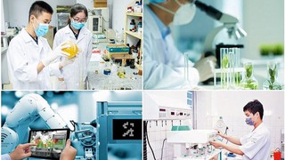 Kết luận của Bộ Chính trị về giải pháp đột phá trong tuyển dụng, bố trí, sử dụng, đãi ngộ cán bộ