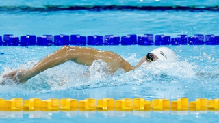 4 kình ngư Việt Nam lọt vào chung kết bơi lội SEA Games 2025 diễn ra chiều nay