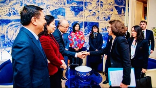 Nhìn lại "Tuần lễ Điện ảnh Việt Nam - Hành trình ánh sáng" tại Paris: Những "quả ngọt" không còn quá tầm với