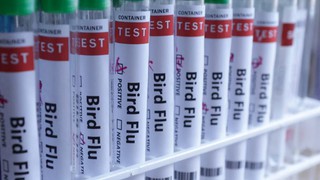 Nga cảnh báo dịch cúm A tiếp tục gia tăng