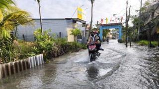 Triều cường tại ven biển Bắc Bộ dự báo ở mức cao