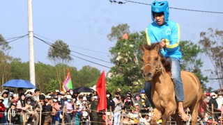 Kỳ thú hội đua ngựa Gò Thì Thùng với những kỵ sỹ là nông dân
