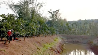 Hai học sinh đuối nước, tử vong trong ao chứa nước tưới cà phê 