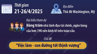 Vấn đề thuế quan chi phối Hội nghị mùa Xuân của IMF/WB