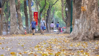 Hình ảnh một Hà Nội đẹp dịu dàng mùa lá rụng