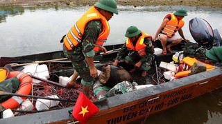 Phát hiện lượng bom, đạn lớn gần cầu Hòa Bình