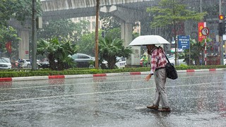 Thời tiết ngày 2/5: Nhiều khu vực có mưa rào và dông vào chiều tối và đêm