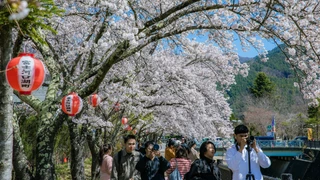 Lý do khiến người Nhật hạn chế đi du lịch trong Tuần lễ Vàng