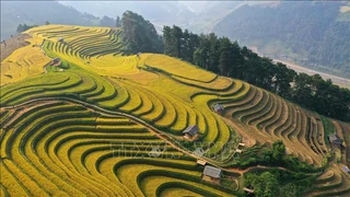 Hà Giang: Khi văn hóa chuyển mình thành nội lực kinh tế
