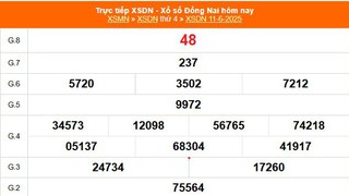 XSDN 11/6 - Kết quả xổ số Đồng Nai hôm nay 11/6/2025 - Trực tiếp XSDN ngày 11 tháng 6