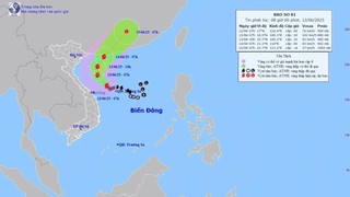 Ứng phó với bão số 1: Quảng Bình đề phòng mưa lớn gây ngập lụt và sạt lở đất đá