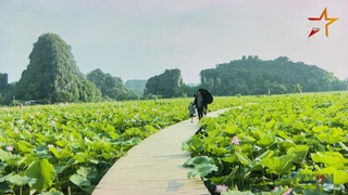 Hương sen miền di sản 