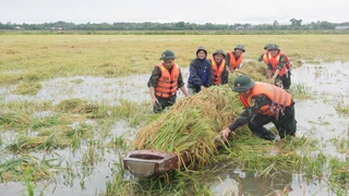 Thủ tướng chỉ đạo tăng cường phòng, chống thiên tai trước mùa mưa bão năm 2025