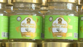 Phú Thọ thu giữ hơn 23.000 sản phẩm yến chưng giả