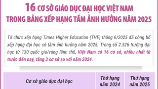 16 trường ĐH Việt Nam trong bảng xếp hạng tầm ảnh hưởng năm 2025