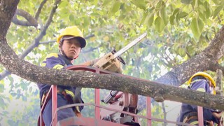 TP HCM lên phương án chống ngập lụt, cây đổ trong mùa mưa bão