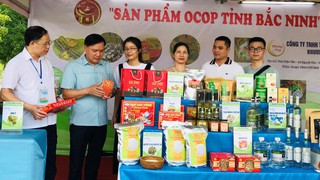 Từ sản vật làng quê đến thương hiệu vươn xa